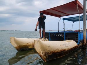 Tumpahan Oli di Pantai Bangsring Ancam Konservasi Terumbu Karang