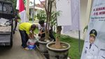 Ucapan Selamat Pelantikan Bupati Sidoarjo dengan Pohon Pule