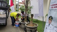 Rencananya pohon tersebut akan ditanam demi perindangan Kota Sidoarjo terutama di pinggir jalan mulai dari Waru hingga Porong.