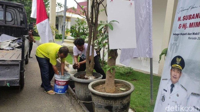 Ucapan selamat pelantikan dengan pohon pule di Sidoarjo Ucapan selamat pelantikan dengan pohon pule di Sidoarjo