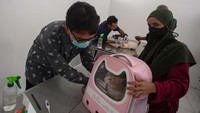 Vaksinasi rabies gratis untuk kucing dan anjing ini diinisiasi oleh Dinas Pertanian dan Pangan Kota Yogyakarta melalui Bidang Perikan Kehewanan bekerja sama dengan Animal Friends Jogja (AFJ).
