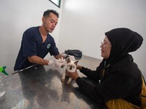 Vaksinasi Rabies Gratis bagi Hewan Peliharaan di Yogyakarta