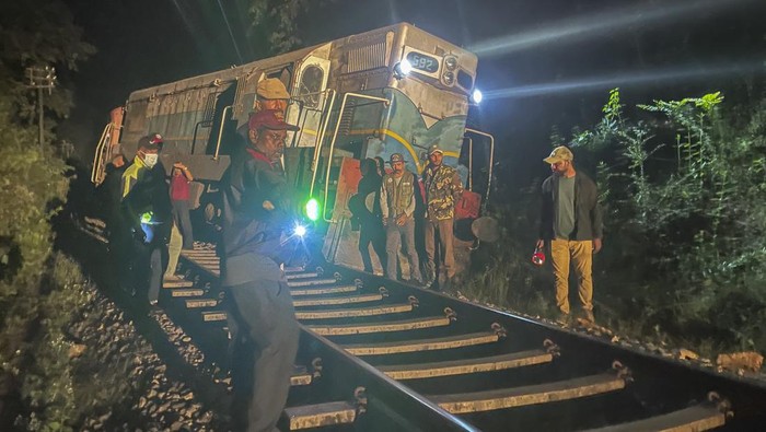 6 Gajah Mati Tertabrak Kereta di Sri Lanka Setidaknya enam gajah tewas di dekat suaka margasatwa di Sri Lanka. Diantaranya empat bayi gajah dan dua gaja dewasa.