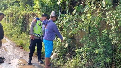 Polisi selidiki lokasi penemuan bayi laki-laki di semak-semak pinggir Jalan Pengiasan X, Sidakarya, Denpasar, Kamis (20/2/2025). (Dok Polsek Denpasar Selatan).