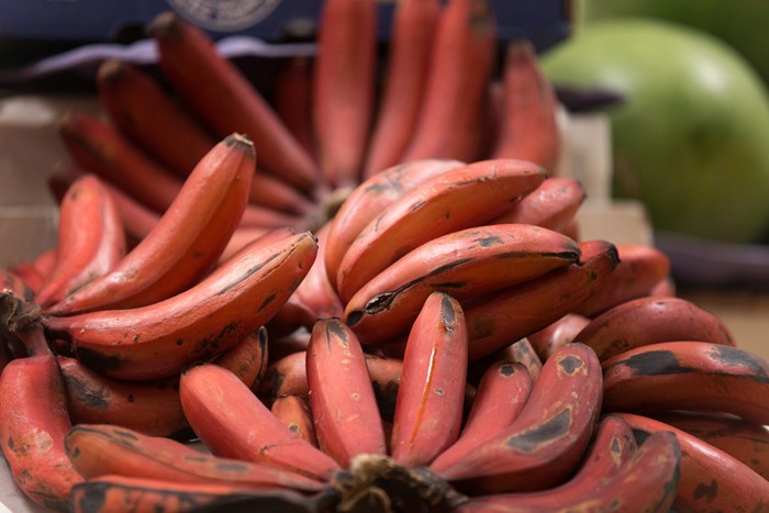 Ramai Dibahas, Ini 5 Fakta Pisang Merah Menarik