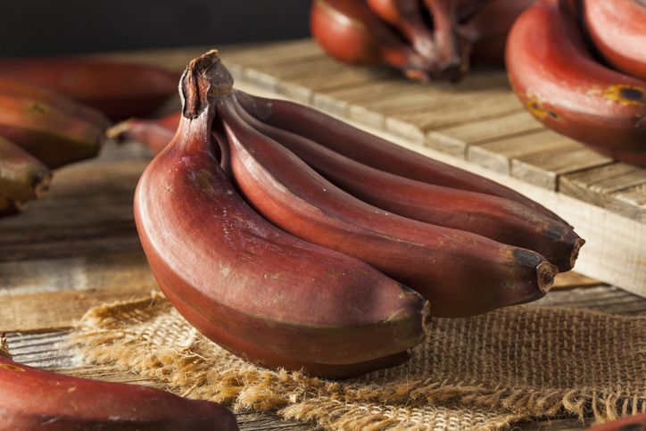 Ramai Dibahas, Ini 5 Fakta Pisang Merah Menarik