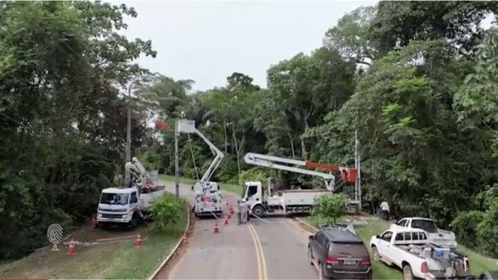 Jembatan monyet di Hutan Amazon