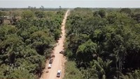 Ia lalu beride membangun jembatan di tingkat kanopi, sehingga spesies yang tinggal di pepohonan dapat dengan aman melintasi jalan raya.