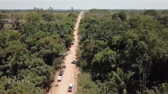 Jembatan monyet di Hutan Amazon