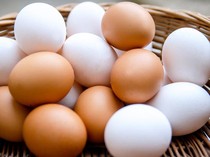 Telur Kulit Cokelat Lebih Bernutrisi dari Telur Kulit Putih?