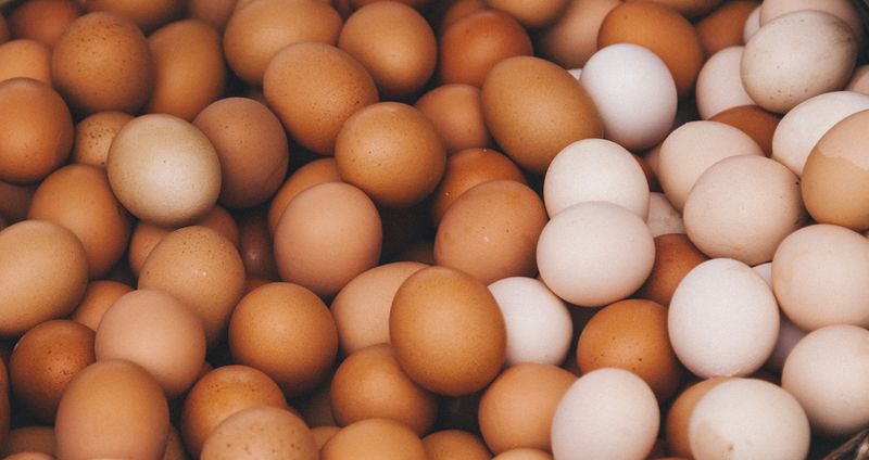 Benarkah Telur Kulit Cokelat Lebih Kaya Nutrisi? Ini Penjelasannya