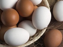 Tak Cuma Soal Warna, Bentuk Cangkang Telur Bisa Ungkap Kondisi Ayam