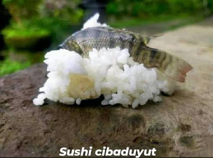 Kocak! 10 Kreasi Makanan Jepang apa Lokal yang Bikin Ngakak