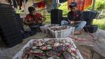 Melihat Budi Daya Kepiting Soka di Indramayu