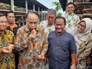 Menkop Budi Arie Mau Bikin Kop Hub untuk Suplai Makan Bergizi Gratis