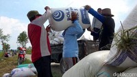 Bahkan para petani juga mengakui ada tengkulak yang membeli gabah seharga Rp 6.800 atau diatas standar.