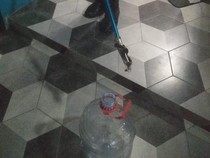 Mak Jegagik! Ular Kobra Ngumpet di Kamar Mandi Warga Pandak Bantul