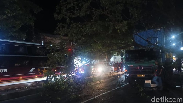 Pohon tumbang di Jalan Poros Makassar-Maros.
