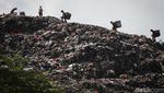 Potret TPA Cipeucang Tangsel yang Akan Ditutup KLH