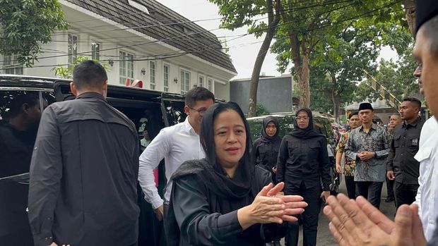 Puan Maharani (Anggi/detikcom)