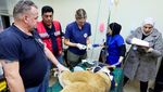 Aksi Relawan Selamatkan Singa dari Zona Perang
