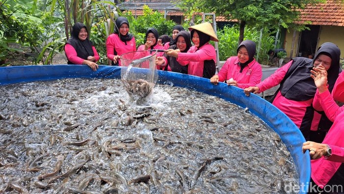 bhayangkari tanggulangin Kelola Pekarangan Pangan Lestari, Dukung Ketahanan Pangan Nasional