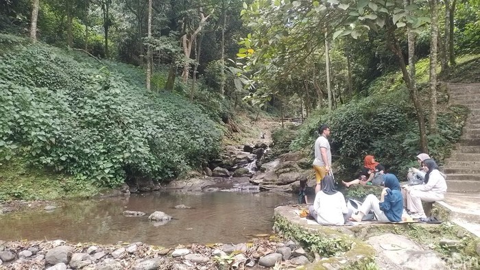 Curug Nangka di Kawasan Taman Nasional Gunung Halimun Salak, Bogor