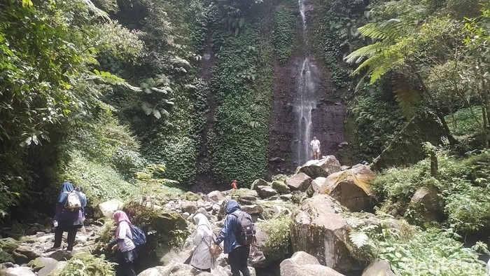 Curug Nangka di Kawasan Taman Nasional Gunung Halimun Salak, Bogor