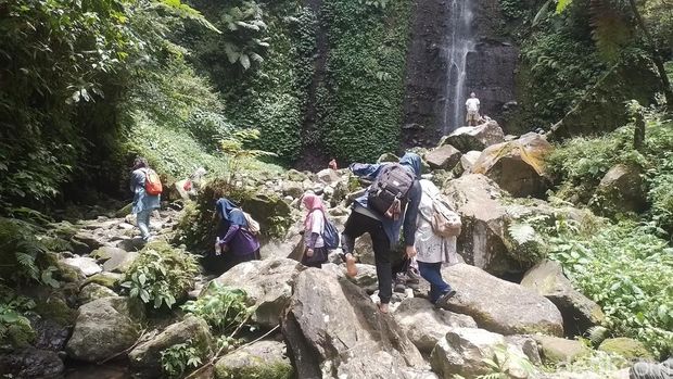 Curug Nangka di Kawasan Taman Nasional Gunung Halimun Salak, Bogor