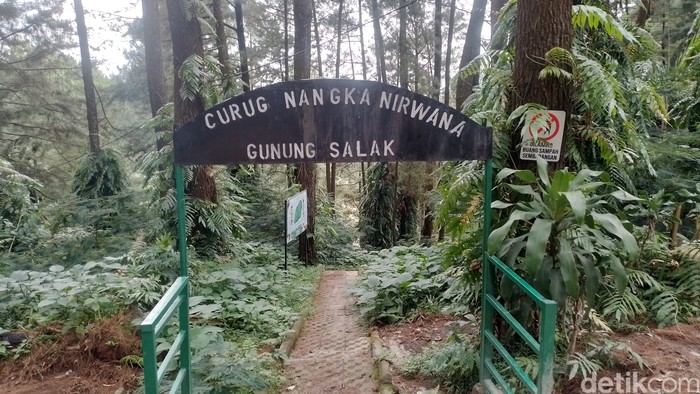 Curug Nangka di Kawasan Taman Nasional Gunung Halimun Salak, Bogor