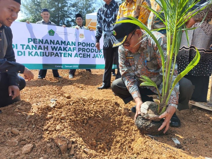 Kakanwil Kemenag Aceh, Azhari, melakukan penanaman pohon di Kabupaten Aceh Jaya