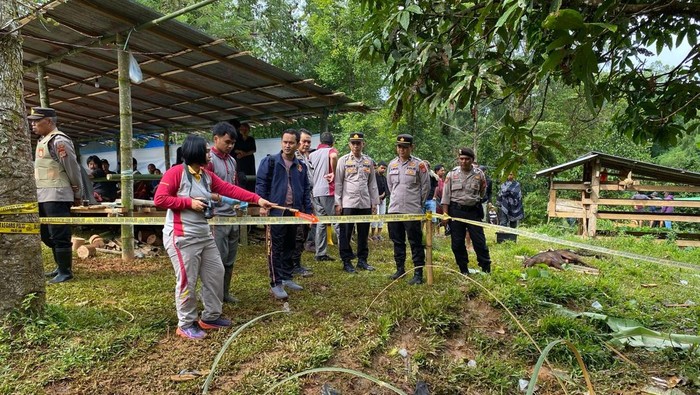 Pria berinisial YT (52) di Tana Toraja, Sulawesi Selatan (Sulsel), menikam tetangganya inisial NG (53) menggunakan parang hingga tewas.