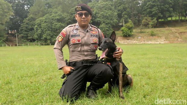 Tim K-9 Ditsamapta Polda Jabar. Foto: Wisma Putra/detikJabar