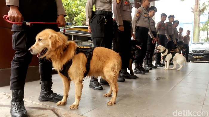 Tim K-9 Ditsamapta Polda Jabar. Foto: Wisma Putra/detikJabar