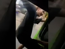 Video: Viral Pria Bikin Onar dalam Angkot di Bogor, Polisi Telusuri