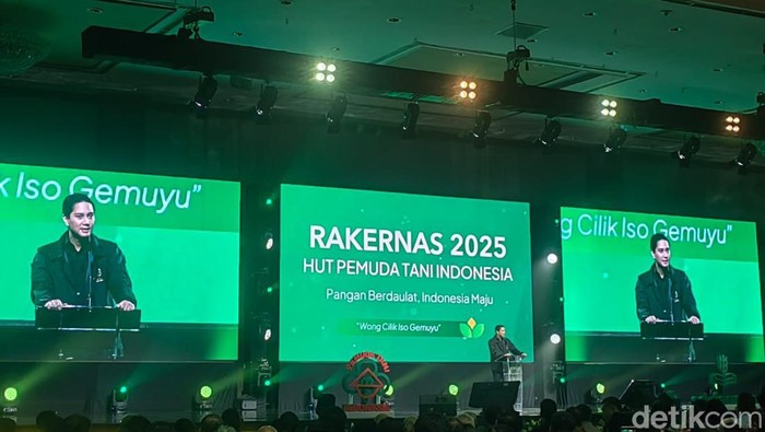 Wakil Ketua Umum Partai Gerindra Budisatrio Djiwandono