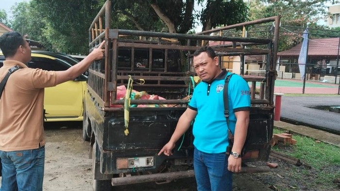 Barang bukti pencurian sapi di PALI.