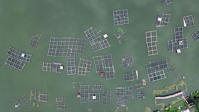Foto udara keramba apung di Danau Ranu Grati di Desa Ranuklindungan, Grati, Kabupaten Pasuruan, Jawa Timur, Minggu (23/2/2025). Danau seluas 107 hektar tersebut merupakan salah satu danau vulkanik di Indonesia yang dimanfaatkan oleh warga sekitar sebagai tempat budi daya ikan. ANTARA FOTO/Umarul Faruq/agr