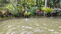 Ada juga kolam anak-anak dengan kedalaman sekitar 50 sentimeter. Adapun, tiket masuk untuk wisatawan domestik