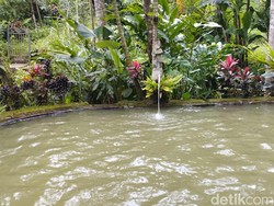 Ada juga kolam anak-anak dengan kedalaman sekitar 50 sentimeter. Adapun, tiket masuk untuk wisatawan domestik