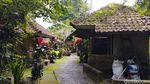Kehangatan di Sejuknya Hutan, Daya Tarik Unik Air Panas Angseri Tabanan
