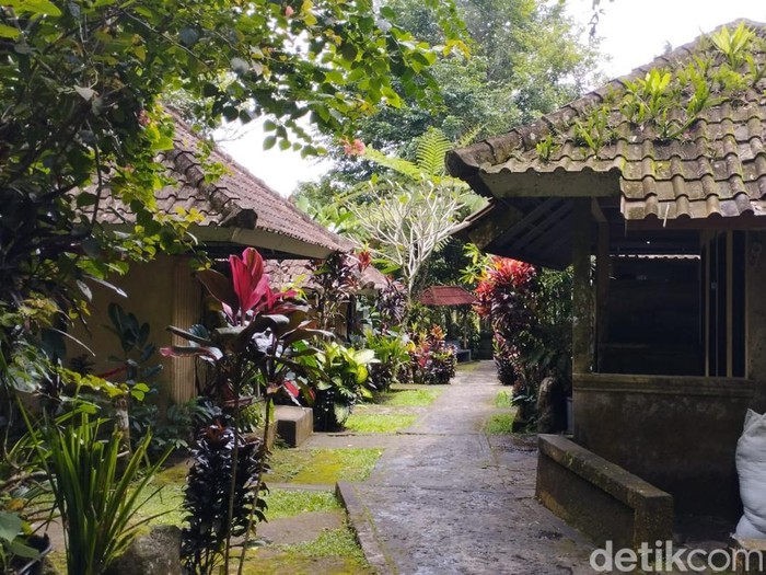 Kolam Air Panas Angseri di Tabanan, Bali.