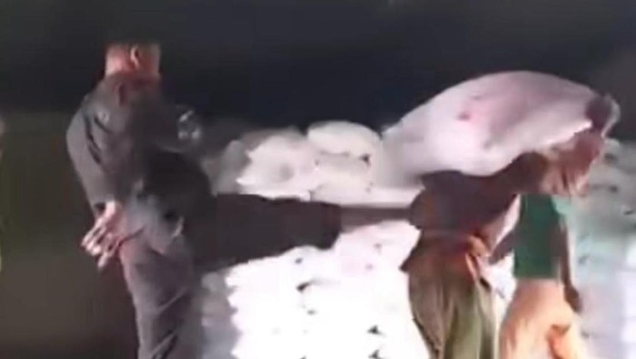 Kuli panggul ditendang mandor di Jambi viral di media sosial