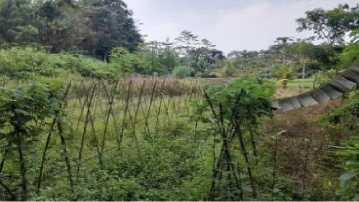 Lahan Sitaan 1,6 Hektare Milik Benny Tjokro Dilelang, Laku Rp 600 Juta