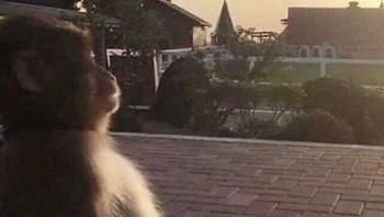 Cara terbaik menikmati senja, diam dan berimajinasi. Foto: (Bored Panda).