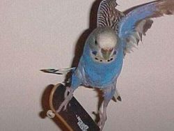 Foto-foto Hewan Ini Lucu Banget, Ada Aja Kelakuannya