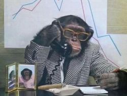 Foto-foto Hewan Ini Lucu Banget, Ada Aja Kelakuannya