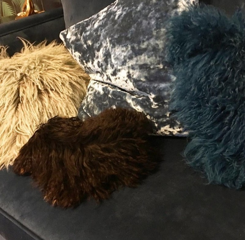 Potret Hewan Ketika Berkamuflase, Bikin Mata Siwer