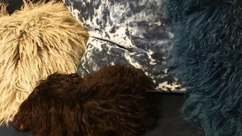 Di antara bulu-bulu kemoceng, mana yang asli hewan? Foto: Brightside