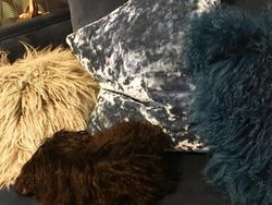 Potret Hewan Ketika Berkamuflase, Awas Bikin Mata Siwer